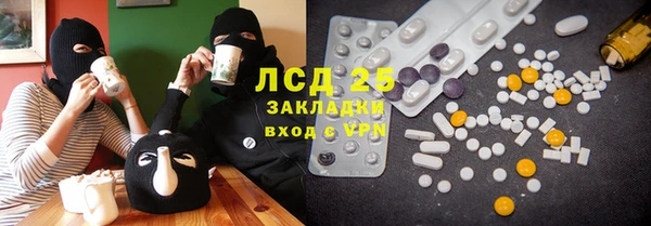 ECSTASY Грязи