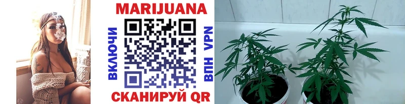 где купить наркоту Лянтор Конопля Bruce Banner